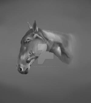 horse study by AngelInTheHeart