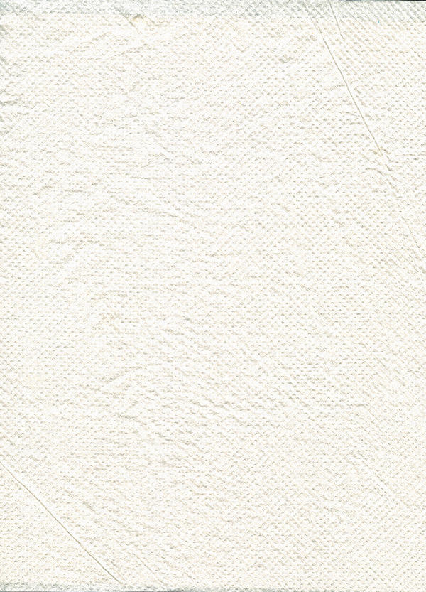 napkin texture