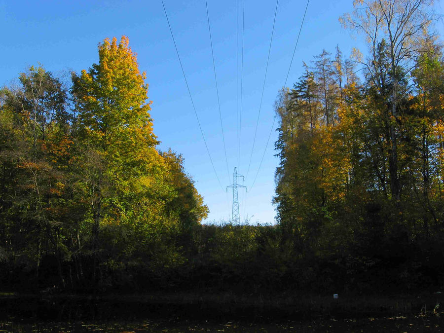 Tree Pylon pylon between trees by rekokros on DeviantArt