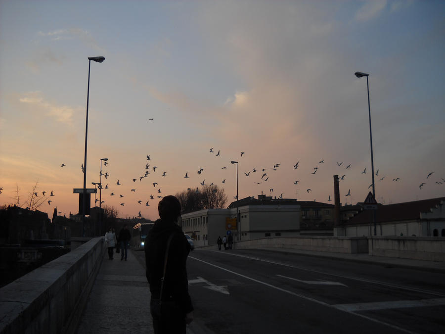 Walking in the evening