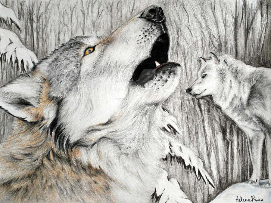 Meute De Loups By Heleneroux On Deviantart Meute De Loups By Heleneroux On Deviantart