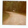 Walk.