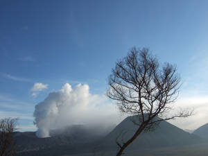 Bromo_3