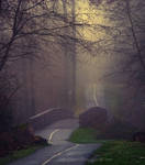 Foggy Path by Violet-Kleinert