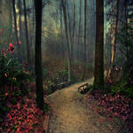 Whispering Forest by Violet-Kleinert