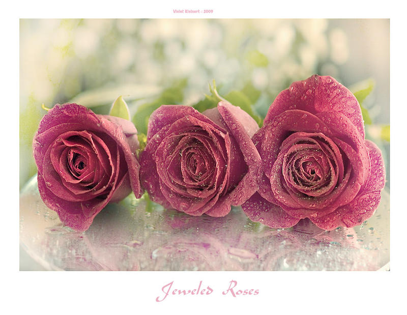 Jeweled Roses