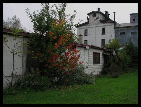 Bentham Mill 08