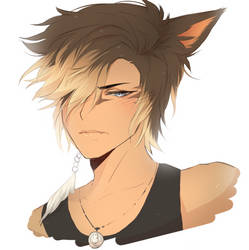 FF14 cat bois are a mood