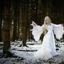 Snow Maiden