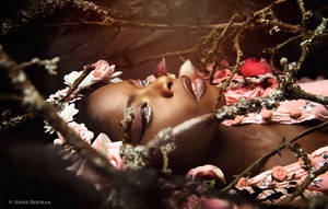La Mort du printemps by Annie-Bertram La Mort du printemps by Annie-Bertram