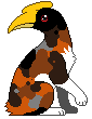 Western Canadian Field Bird (Hornbill)