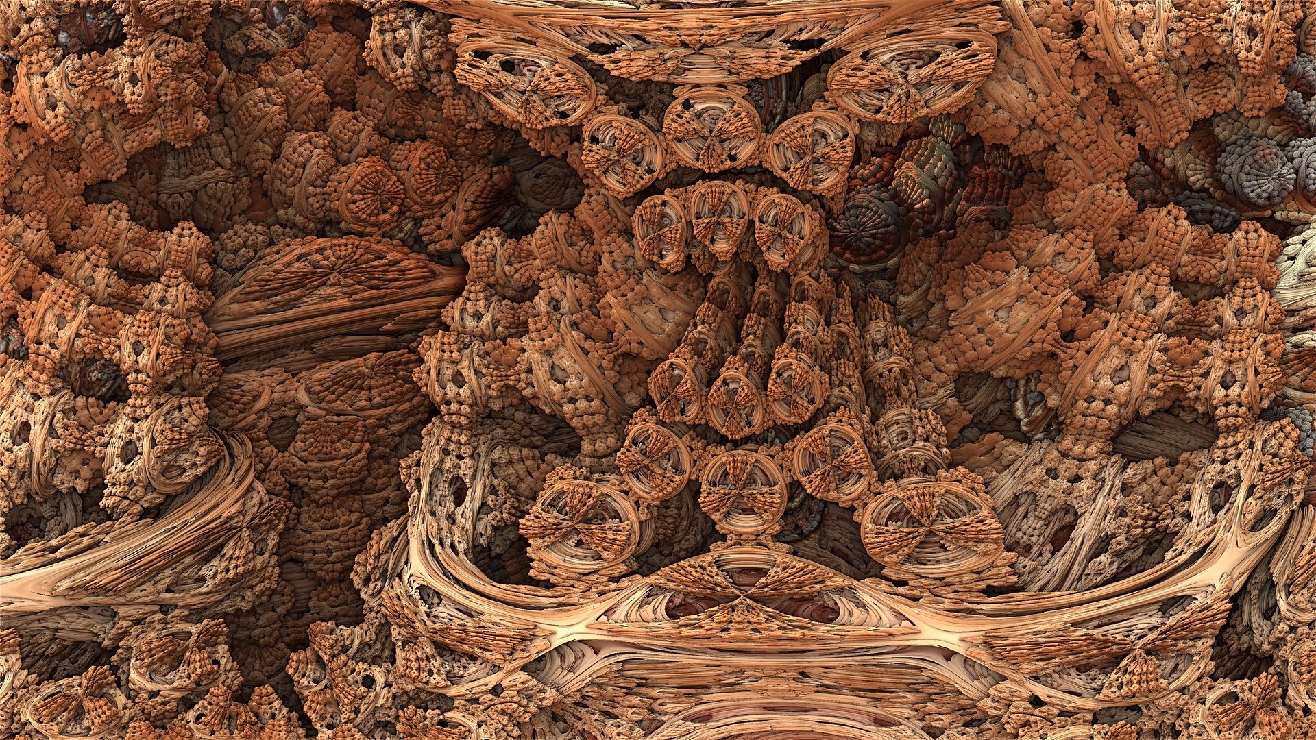 Fossils by DDDPhoto