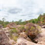 Auburn River Gorge Pano