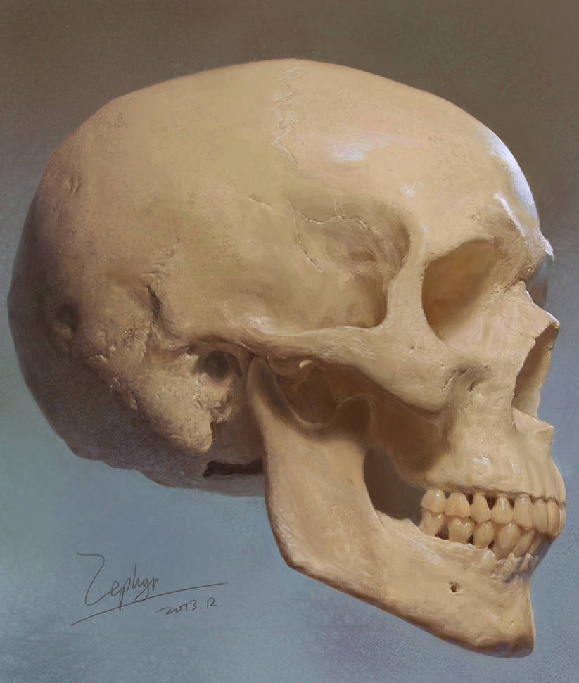 Skulls by zephyr0713 Skulls by zephyr0713