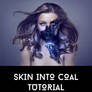 Skin Into Coal Tutorial
