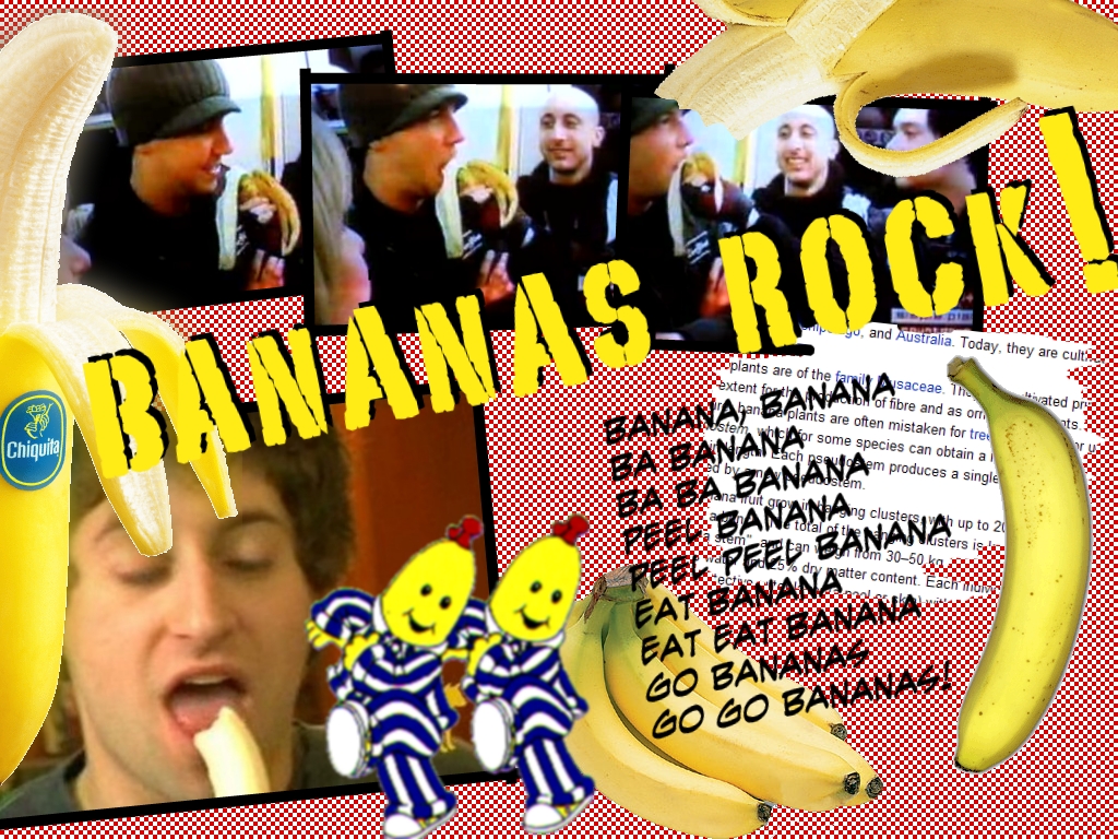 Bananas Rock - Joe and Pierre