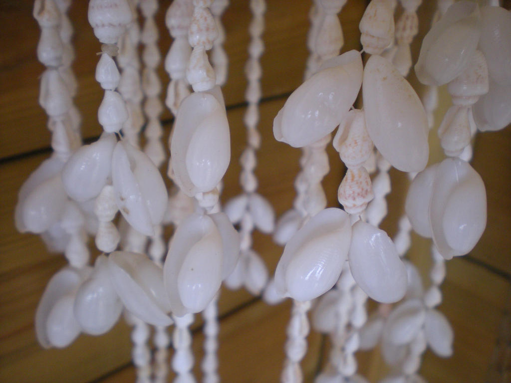 Shiny shells by TeleviCat on DeviantArt