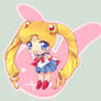 Chibi Sailor Moon