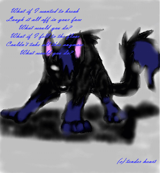 Klee Kai by explodingblackflower on DeviantArt