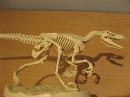 Skeleton Shadow