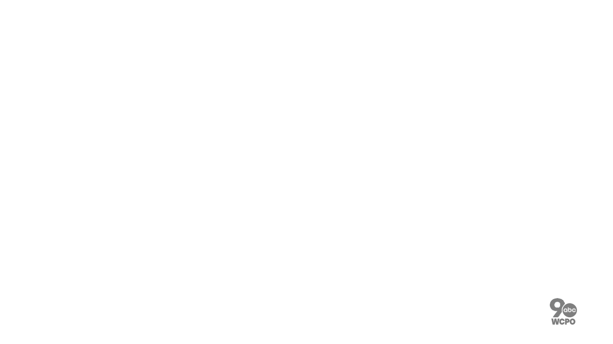 Wikokiko Screen Bug WCPO 9 Screenbug (2021-) by PrimoPro2006 on DeviantArt