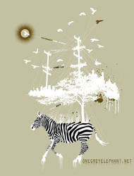 The Zebra Dances
