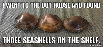 Two Three Shells Three SeaShells by WildWolfHipster on DeviantArt