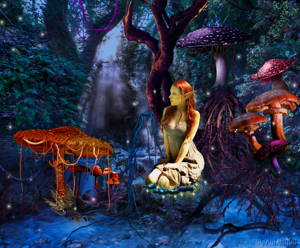 The fairy's legend in her kingdom
