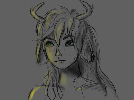 Fawn Sketch