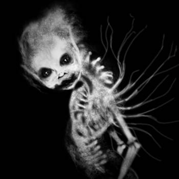 Twisted Fairy