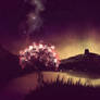 Landscape204