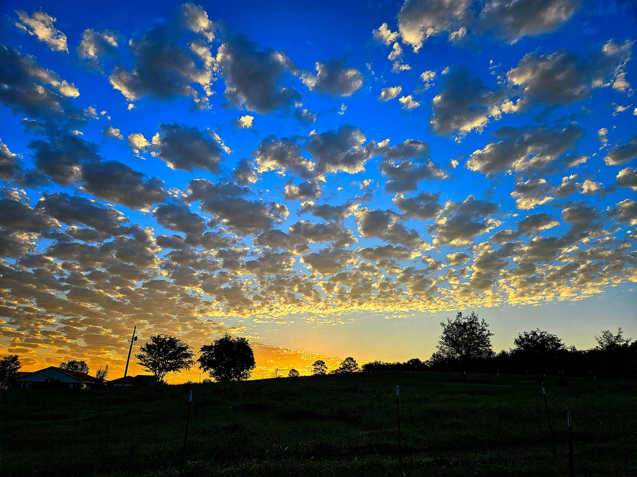 Sunrise 82124
