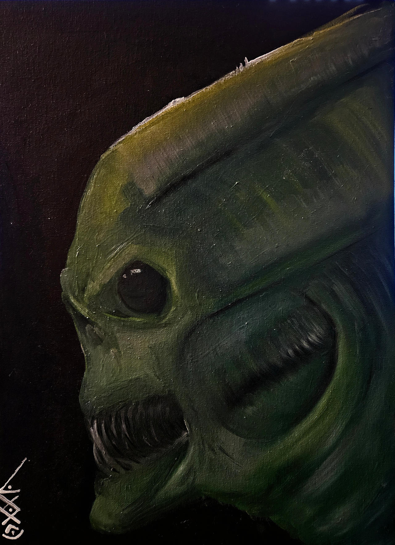 Hide n Seek Oil Update