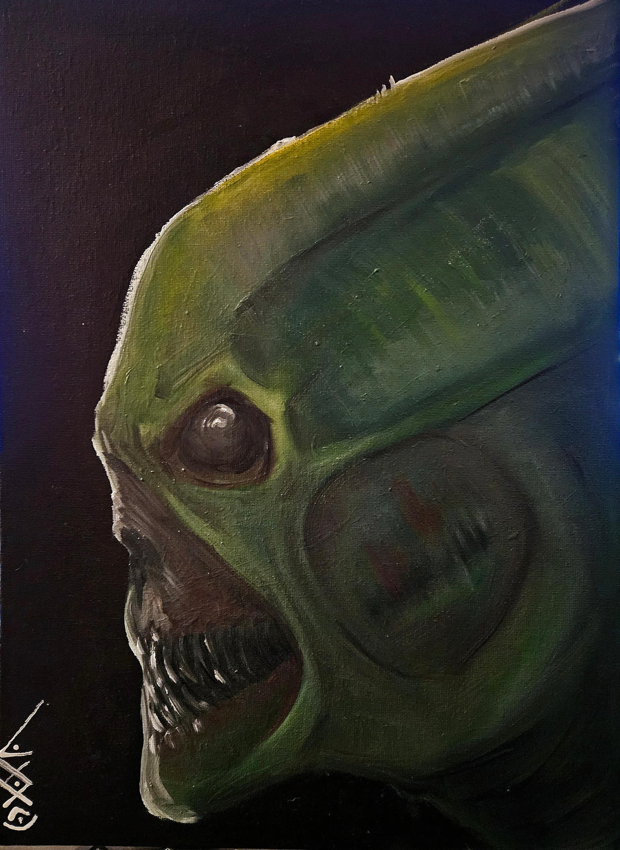 HIDE N SEEK FINAL UPDATE