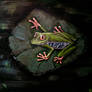 Frog 2