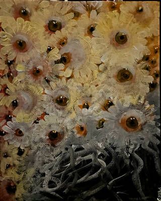 Wildflowers