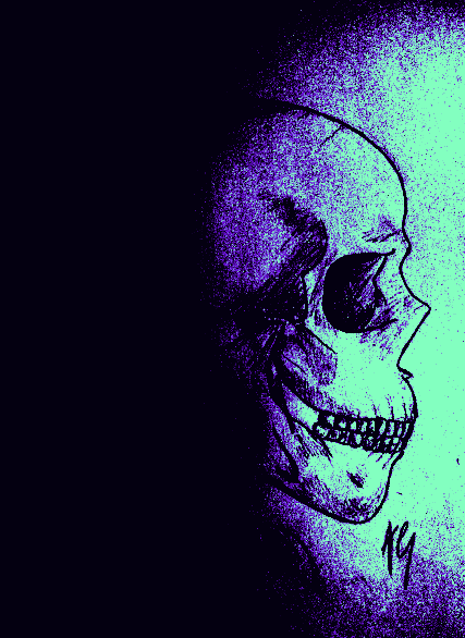 Edited skull drawing