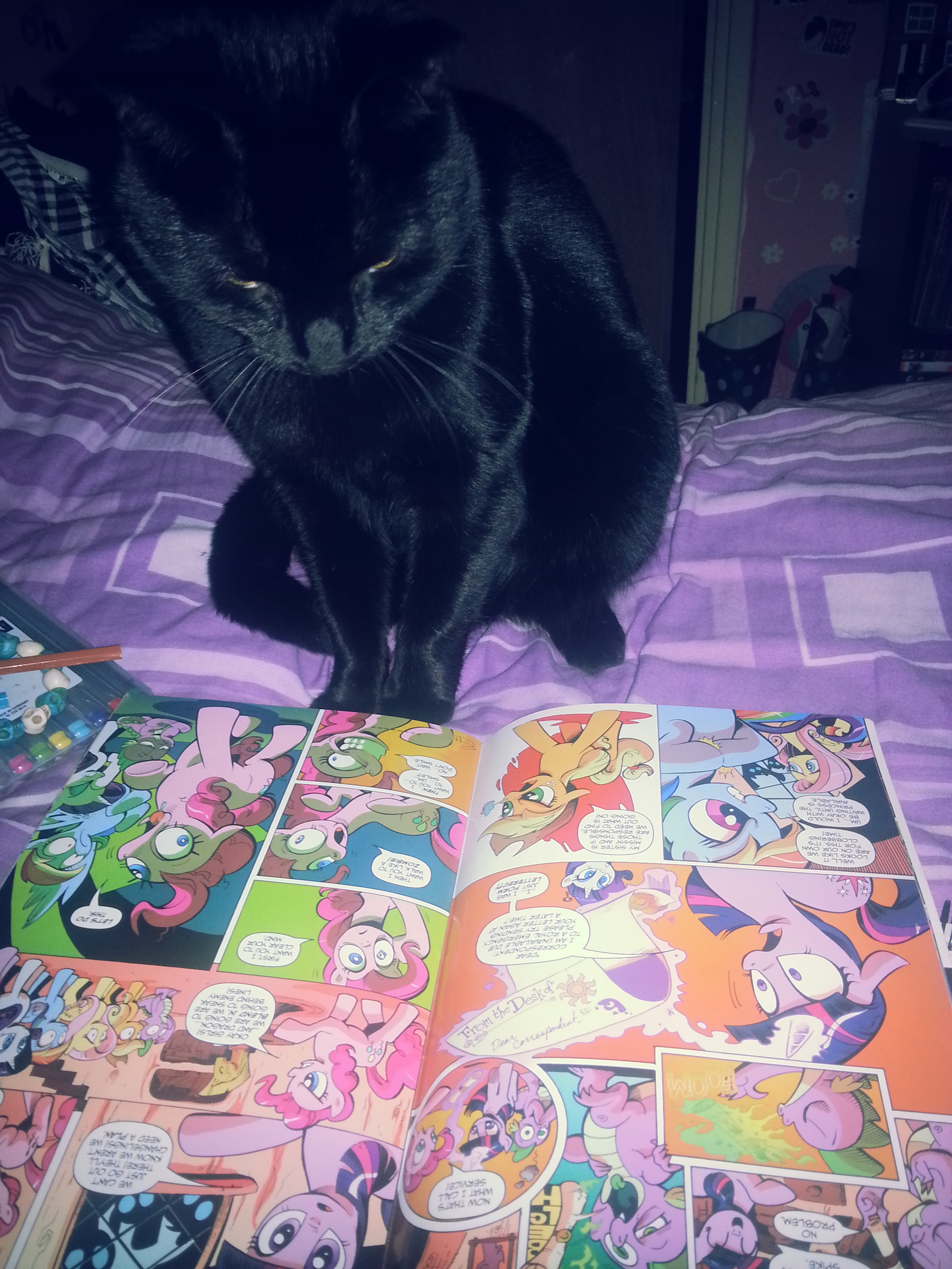 Kitty reading comic book