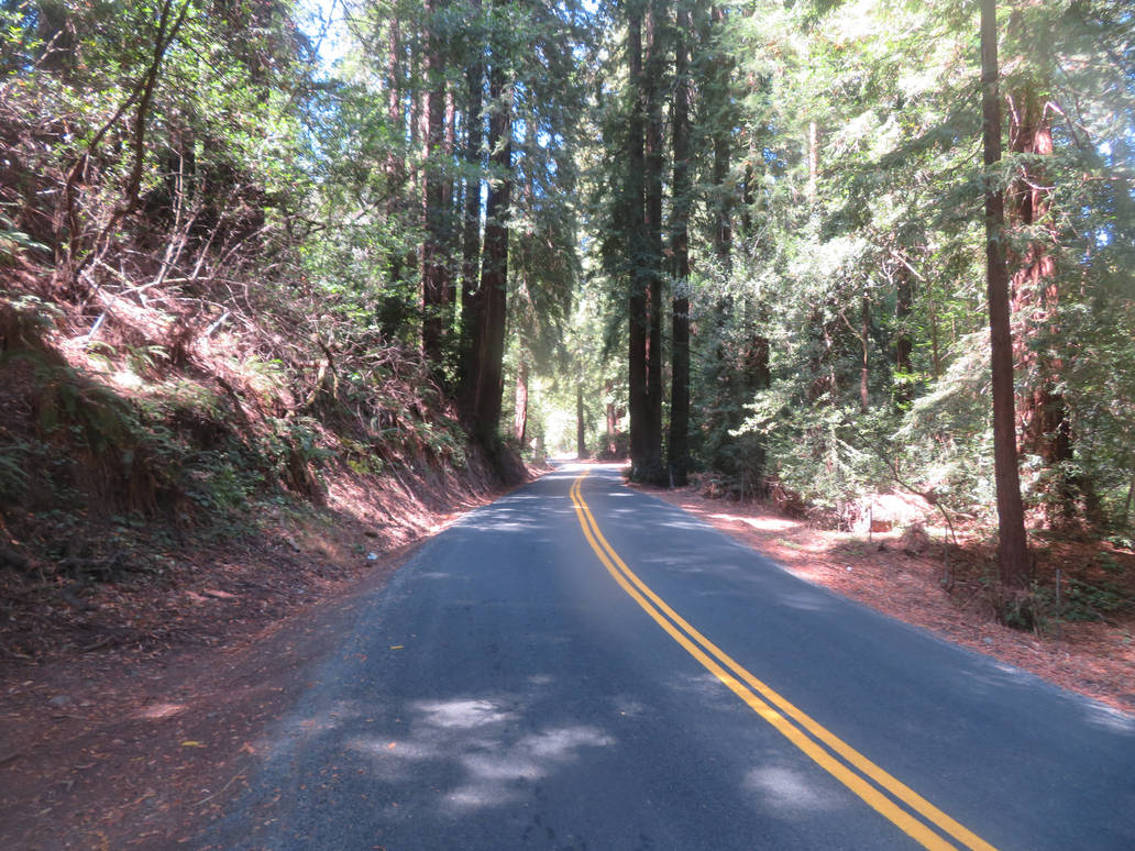 parents song to walk into wedding parents song to walk into wedding