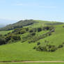 Even More of San Ramon Valley Regional Parks