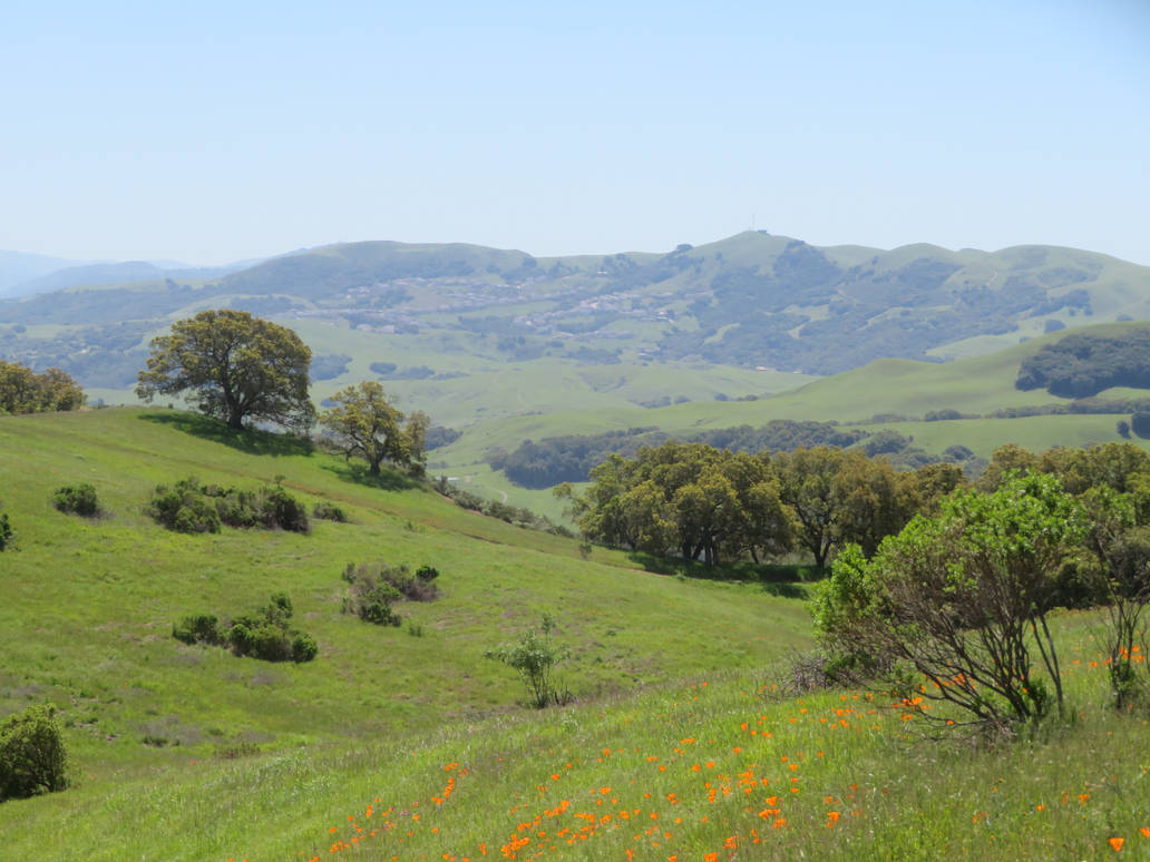 Even More of San Ramon Valley Regional Parks by SAMGUTHRIEWRITER on