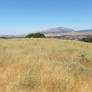 Even More of San Ramon Valley Regional Parks
