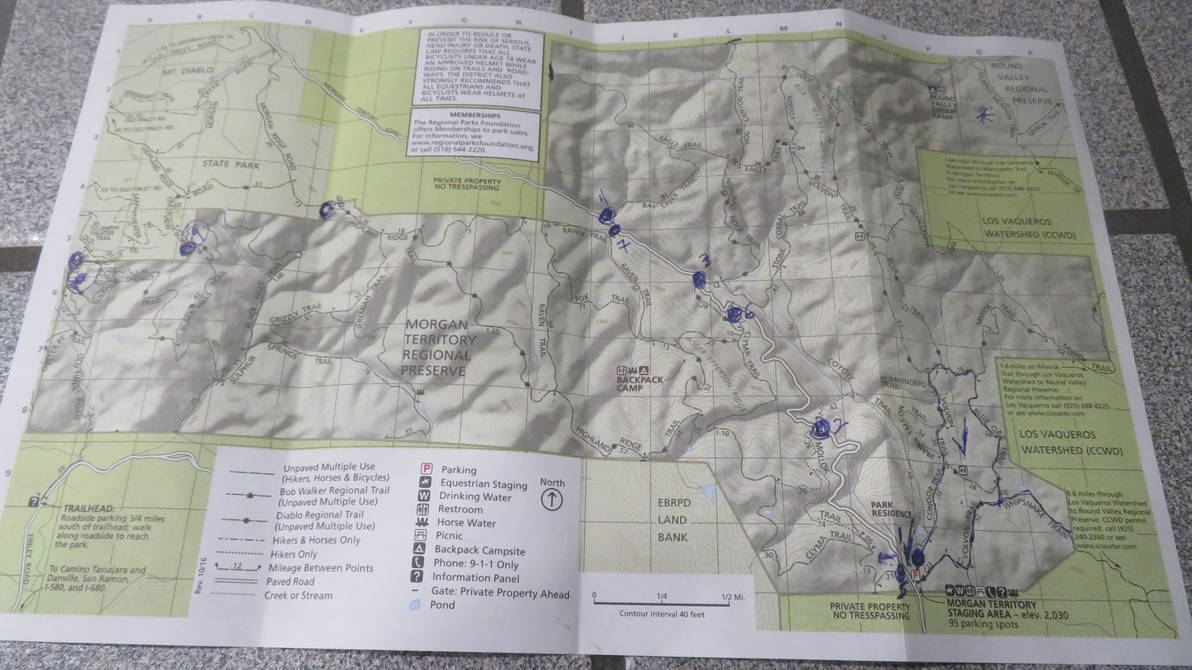 Morgan Territory Regional Preserve Map by SAMGUTHRIEWRITER on DeviantArt