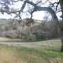 Livermore Regional Parks and Preserves