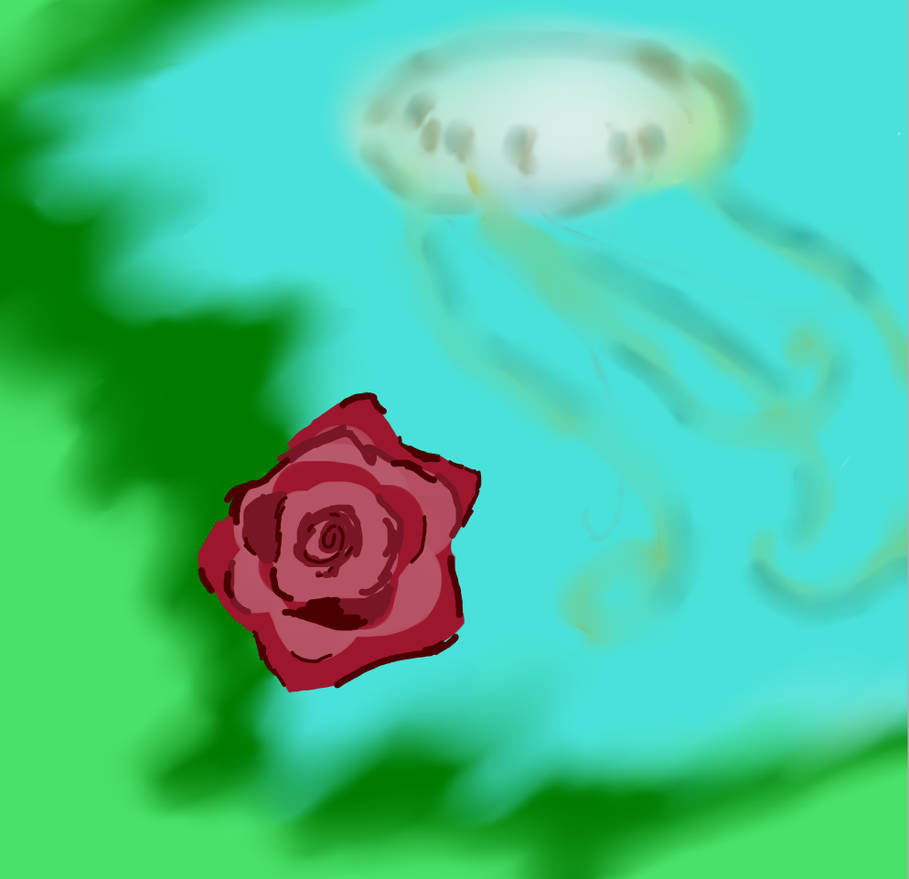 Dear Rabbit by momonpata on DeviantArt