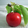 Red plum