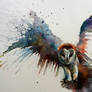 Barn owl in flight watercolour
