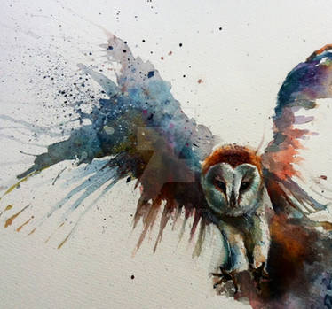 Barn owl in flight watercolour