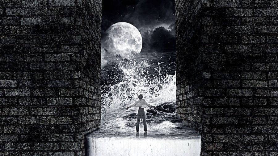 Vivid Can You Get In Trouble Moment Concept Vivid Can You Get In Trouble Moment Concept