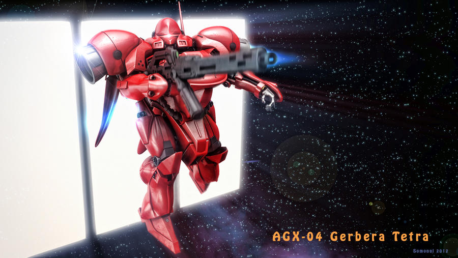 AGX-04 Gerbera Tetra